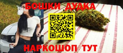 прущие крисы Новокубанск