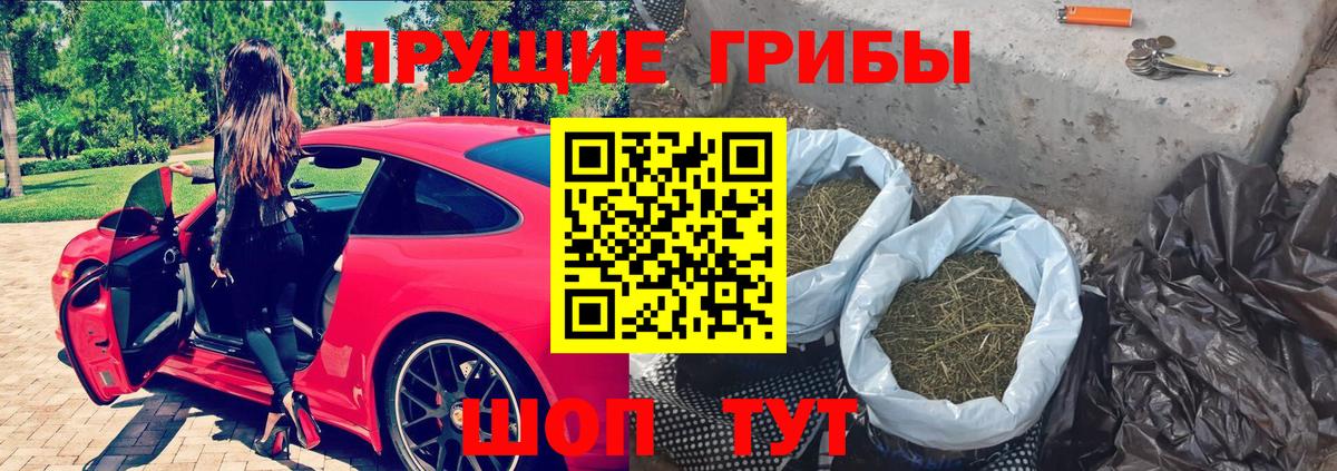 Галлюциногенные грибы Magic Shrooms  Вход с VPN  Сорочинск  Псилоцибиновые грибы Magic Shrooms 